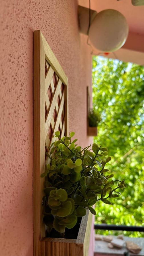 Apartment Murva Premantura Kültér fotó